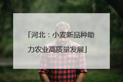 河北：小麦新品种助力农业高质量发展
